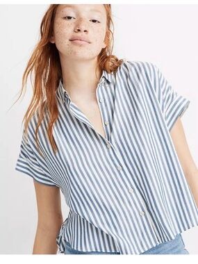 Madewell Hilltop Savin Stripe - Blue and White Short-Sleeve Button-Down